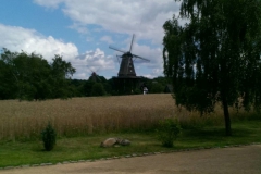 Gifhorn (22)