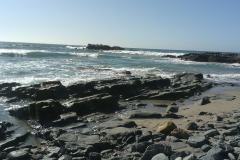 laguna beach (4)