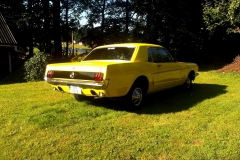 mustang (2)