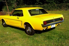 mustang (9)