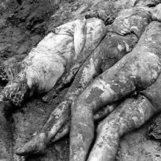 První světová válka, druhá světová válka, vietnam, pyramidy, historie, atentáty, armáda, letectvo, námořnictvo, zbraně, příběhy